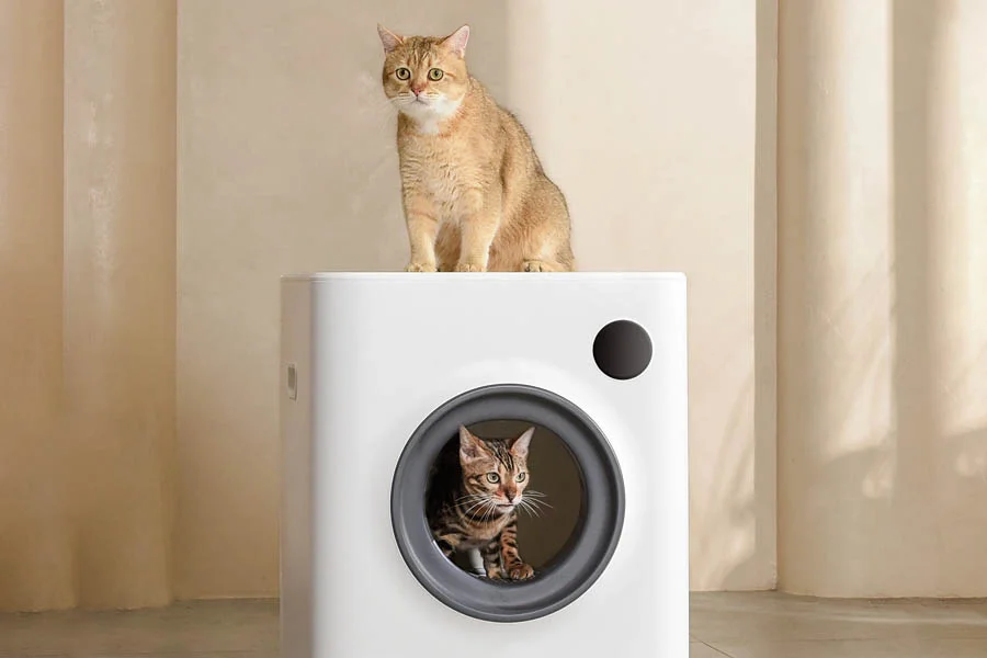no smell litter box